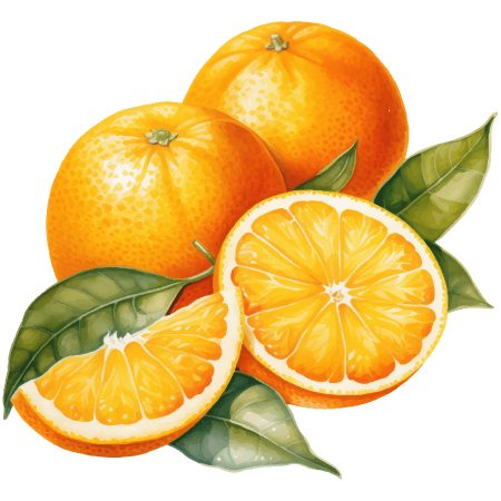Illustration of oranges with leaves and sliced orange segments.